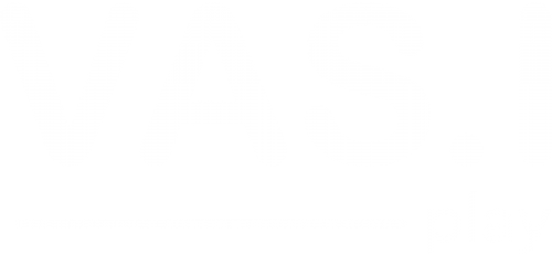 vasiplay_logoletters-01-06-06
